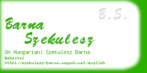 barna szekulesz business card